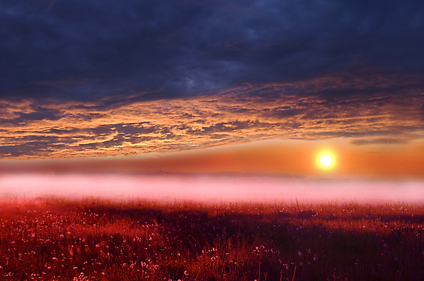 포토 JPG 해외이미지 나무 구름 계절 꽃 유럽 도로 여행 백그라운드 잎 밭 오렌지 자연 하늘 추상 주택 파노라마 풍경 사람없음 초록색 여름 태양 농장 마을 일출 맑음 일몰 가을 시골 소 저녁 시리얼 밀 러시아 러시아인 방법 블러 호밀 귀리 해외202004 해외포토 자연요소 서양인 식물 나라 길 음식 컬러 무늬 농업 과일 포유류 교통시설 날씨 곡류 촬영기법 건물 노을 야간 생태계 파일형식 이미지허브