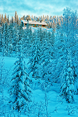 포토 JPG 해외이미지 나무 구름 여행 겨울 하늘 휴가 주택 핀란드 사람없음 흰색 숲 시골집 서리 스칸디나비아 해외202004 해외포토 자연요소 식물 계절 컬러 북유럽 건물 파일형식 이미지허브