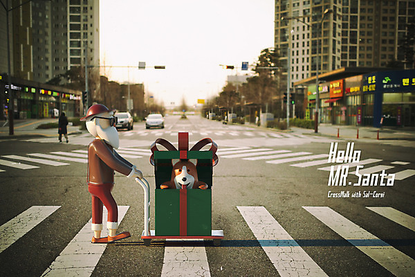 전신 PSD 편집이미지 캐릭터 한마리 노년 남자 크리스마스 겨울 자동차 선물 한명 건물 선물상자 산타클로스 3D 카트 수레 도시 횡단보도 강아지 밀기 디지털합성 합성 개캐릭터 반려 편집3D 1 건축물 계절 기념일 육상교통 동물캐릭터 모션 사람 성인 반려동물 상자 보행로 개 파일형식