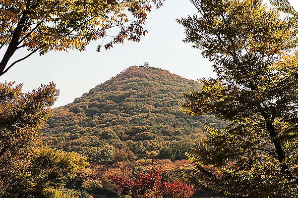 포토 JPG 주간 나무 단풍 낙엽 단풍나무 산 풍경 사람없음 야외 가을풍경 가을 경기도 인천 인천대공원 국내포토 자연요소 식물 계절 공원 잎 한국 파일형식 가을_계절