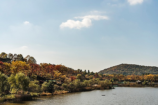 포토 JPG 주간 구름 단풍 낙엽 하늘 단풍나무 풍경 사람없음 야외 강 가을풍경 가을 경기도 인천 인천대공원 국내포토 자연요소 나무 계절 공원 잎 한국 파일형식 가을_계절