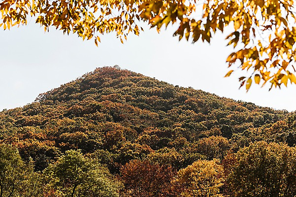 포토 JPG 주간 단풍 낙엽 단풍나무 산 풍경 사람없음 야외 가을풍경 가을 경기도 인천 인천대공원 국내포토 자연요소 나무 계절 공원 잎 한국 파일형식 가을_계절
