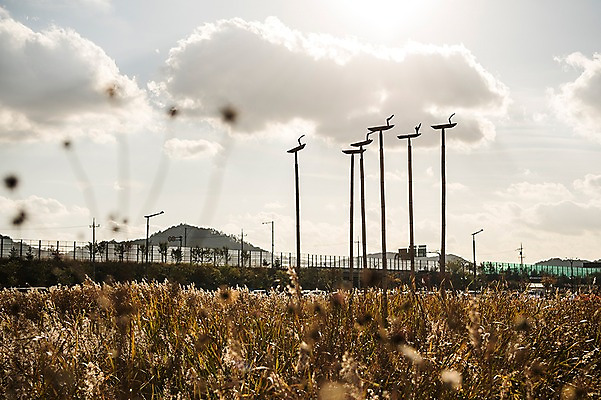 포토 JPG 주간 구름 공원 하늘 풍경 사람없음 야외 가을풍경 가을 억새 솟대 생태공원 억새밭 시흥 국내포토 자연요소 식물 계절 공공시설 경기도 파일형식 가을_계절
