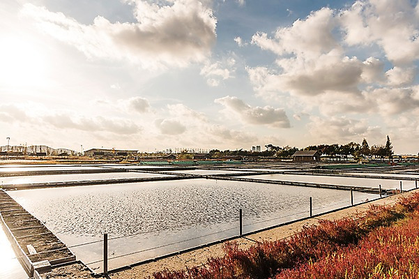 포토 JPG 주간 구름 공원 하늘 풍경 사람없음 야외 가을풍경 가을 생태공원 염전 시흥 국내포토 자연요소 계절 공공시설 시설 경기도 파일형식 가을_계절