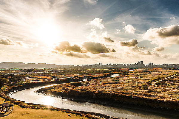 포토 JPG 주간 구름 공원 하늘 풍경 사람없음 야외 강 햇빛 가을풍경 가을 억새 생태공원 억새밭 시흥 국내포토 자연요소 식물 계절 공공시설 태양 경기도 파일형식 가을_계절