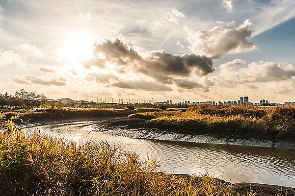 포토 JPG 주간 구름 공원 하늘 풍경 사람없음 야외 강 가을풍경 가을 억새 생태공원 억새밭 시흥 국내포토 자연요소 식물 계절 공공시설 경기도 파일형식 가을_계절