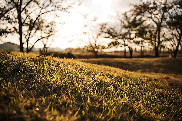 포토 JPG 주간 공원 풍경 잔디 사람없음 야외 아웃포커스 가을풍경 가을 생태공원 시흥 국내포토 자연요소 식물 계절 공공시설 촬영기법 경기도 파일형식 가을_계절