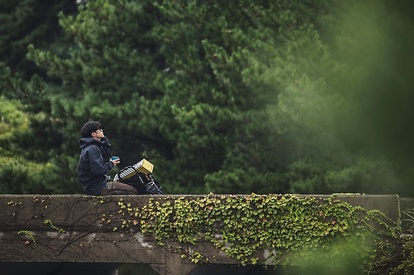 포토 JPG 주간 전신 나무 남자 맨라이프 여행 배낭 휴식 한명 앉기 20대 성인 야외 옆모습 강 제주도 전시 캠핑 한국인 백패커 가교 성인남자한명만 욜로라이프 국내포토 자연요소 식물 1 라이프스타일 건축물 뷰포인트 컨셉 가방 모션 레저 한국 사람 동양인 청년 남자한명만 성인남자만 파일형식