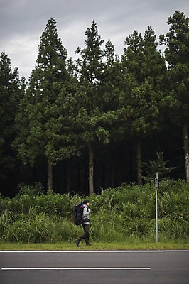포토 JPG 주간 전신 나무 남자 도로 맨라이프 여행 배낭 한명 20대 성인 야외 옆모습 제주도 걷기 캠핑 한국인 백패커 히치하이킹 성인남자한명만 욜로라이프 국내포토 자연요소 식물 1 라이프스타일 길 뷰포인트 가방 교통시설 모션 레저 한국 사람 동양인 청년 남자한명만 성인남자만 파일형식