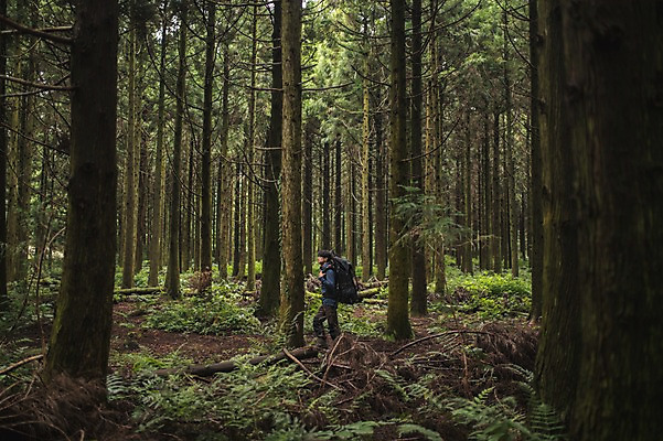 포토 JPG 주간 전신 나무 남자 맨라이프 여행 한명 20대 성인 야외 옆모습 제주도 걷기 캠핑 한국인 숲속 성인남자한명만 욜로라이프 국내포토 자연요소 식물 1 라이프스타일 뷰포인트 모션 레저 한국 사람 동양인 청년 숲 남자한명만 성인남자만 파일형식