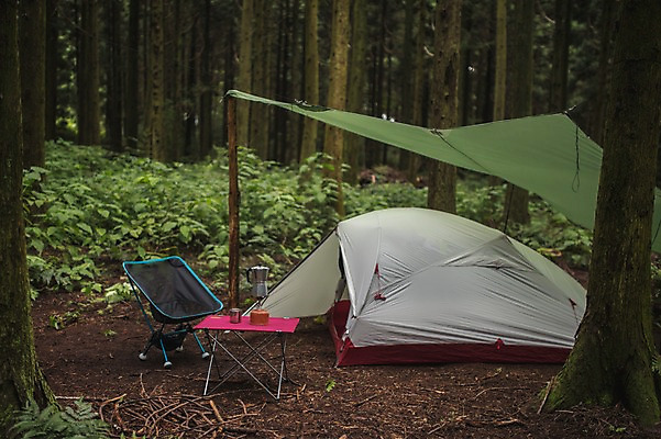 포토 JPG 주간 나무 여행 텐트 캠핑도구 사람없음 야외 제주도 캠핑 숲속 욜로라이프 국내포토 자연요소 식물 라이프스타일 레저 한국 도구 숲 파일형식