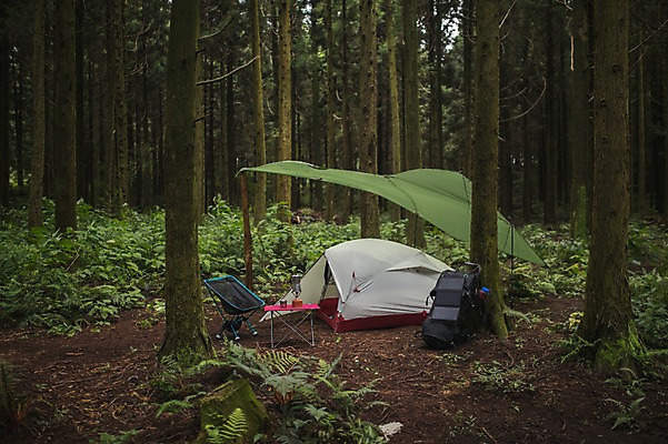포토 JPG 주간 나무 여행 배낭 텐트 캠핑도구 사람없음 야외 제주도 캠핑 숲속 욜로라이프 국내포토 자연요소 식물 라이프스타일 가방 레저 한국 도구 숲 파일형식