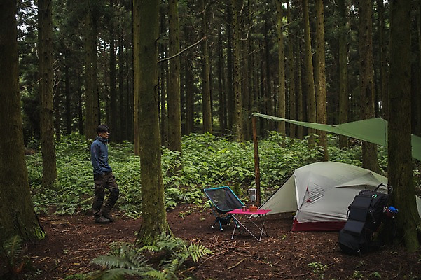 포토 JPG 주간 전신 나무 남자 맨라이프 여행 배낭 텐트 한명 20대 성인 야외 옆모습 제주도 걷기 캠핑 한국인 숲속 성인남자한명만 욜로라이프 국내포토 자연요소 식물 1 라이프스타일 뷰포인트 가방 모션 레저 한국 캠핑도구 사람 동양인 청년 숲 남자한명만 성인남자만 파일형식