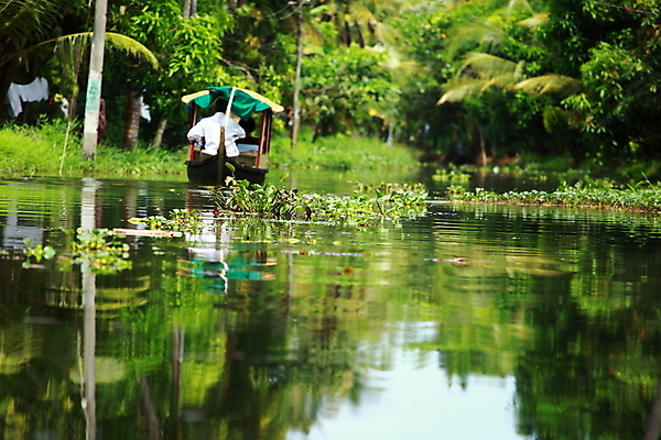 포토 JPG 해외이미지 나무 식물 전통 아시아 물결 섬 여행 백그라운드 자연 휴가 휴식 손바닥 사람 풍경 사람없음 초록색 물 강 반사 연못 숲 크루즈 열대우림 인도인 운하 코코넛 진흙 남쪽 뱃놀이 이국적 채널 케랄라주 그리너리 해외202004 해외포토 자연요소 외국인 손 나라 컬러 컨셉 배_교통 과일 동양인 전통놀이 인도_나라 방향 생태계 파일형식 트랜드컬러 이미지허브
