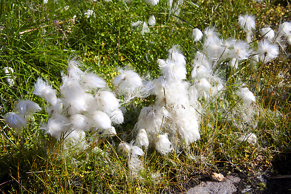포토 JPG 해외이미지 사람없음 빙산 유일 해외202004 해외포토 파일형식 이미지허브