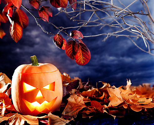 JPG 해외이미지 단풍 낙엽 호박 사람없음 할로윈 오브젝트 잭오랜턴 해외202004 해외포토 포토 잎 채소 파일형식 이미지허브