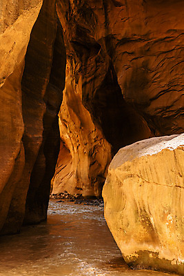 포토 JPG 해외이미지 공원 벽 여행 북아메리카 자연 숙이기 풍경 사람없음 야외 물 강 환경 계곡 미국 산책 땅 부식 통로 좁은 방문 목각 깊이 서쪽 시온산 전국 세련 해외202004 해외포토 자연요소 공공시설 포즈 휴식 아메리카 방향 생태계 파일형식 이미지허브