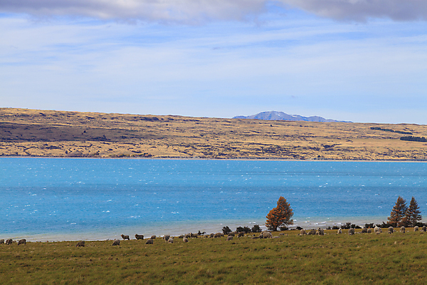 포토 JPG 해외이미지 구름 공원 호수 섬 여행 자연 하늘 휴가 새로움 산 요리 풍경 사람없음 야외 초록색 물 파란색 컬러풀 노란색 환경 계곡 가을 흰색 빙하 알프스 대야 남쪽 전국 절정 터키석 해외202004 해외포토 자연요소 계절 공공시설 유럽 컬러 컨셉 보석 방향 생태계 파일형식 이미지허브