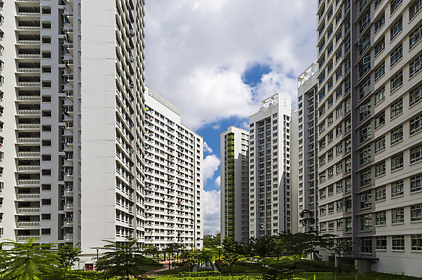포토 JPG 해외이미지 나무 외관 공원 건축양식 자동차 하늘 부동산 새로움 아파트 주택 사람없음 건물 가로 초록색 파란색 정원 고층빌딩 블록 도시 재산 큼 콘도 타운 리빙 이웃 싱가폴 대여 대출 개발 스타일 많음 해외202004 해외포토 식물 건축물 공공시설 건축 아시아 육상교통 컬러 컨셉 숙소 빌딩 금융 크기 파일형식 이미지허브