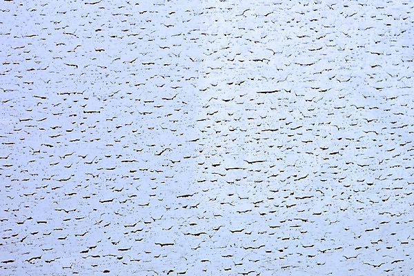 포토 JPG 해외이미지 외관 백그라운드 패턴 표면 추상 건조 사람없음 가로 파란색 햇빛 반사 갈색 금속 어둠 흰색 얼룩 그리기 플랫 묘사 만족 질감 먼지 시트 혼란 많음 해외202004 해외포토 감정 컬러 컨셉 무늬 모션 재질 태양 파일형식 이미지허브