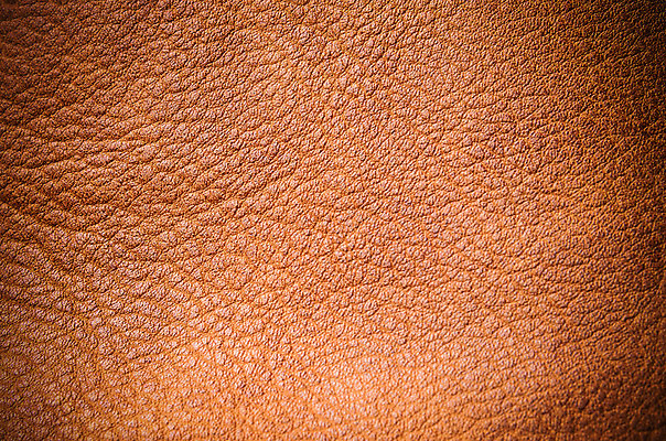 포토 JPG 해외이미지 스튜디오촬영 백그라운드 패턴 사람없음 책 한개 갈색 공백 주름 플랫 가죽 질감 결 물결무늬 숨김 울퉁불퉁 카피스페이스 갈색배경 해외202004 해외포토 1 물결 컬러 컨셉 무늬 실내 파일형식 이미지허브