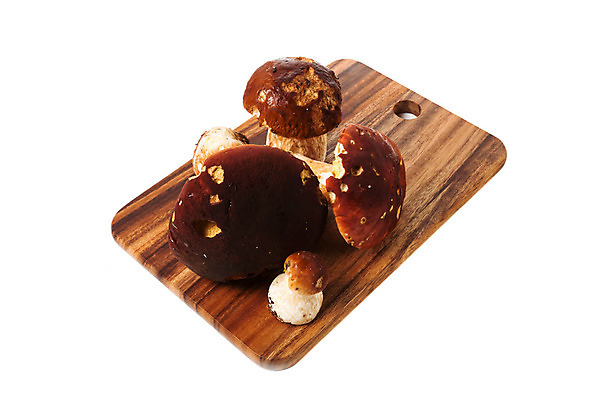 포토 JPG 해외이미지 식물 계절 음식 백그라운드 다이어트 채소 재료 자연 건강 그림자 요리 사람없음 목재 초록색 여름 갈색 저녁식사 버섯 가을 흰색 신선 그룹 맛 숲 작음 큼 망토 왕 먹기 유기농 날것 뿌리 내추럴 고립 곰팡이 그물버섯 숙성 식용 채식주의자 캡모자 해외202004 해외포토 나무 모자_잡화 웰빙 컬러 컨셉 모션 식사 크기 생태계 채식 파일형식 이미지허브