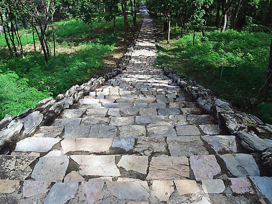 포토 JPG 해외이미지 나무 식물 공원 길 건축양식 사다리 자연 산 사람없음 건물 계단 정원 골동품 보행로 씻기 숲 오솔길 언덕 단계 내추럴 방법 옛날 해외202004 해외포토 건축물 공공시설 건축 청결 도구 생태계 파일형식 이미지허브
