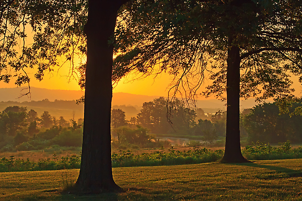 포토 JPG 해외이미지 나무 계절 실루엣 오렌지 자연 하늘 아침 날씨 풍경 사람없음 야외 여름 햇빛 노란색 평화 일출 검은색 침묵 황혼 일몰 봄 새벽 안개 시골 저녁 6월 5월 뿌연 수평선 해외202004 해외포토 주간 자연요소 식물 컬러 컨셉 과일 촬영기법 태양 노을 소리 날짜 야간 생태계 파일형식 이미지허브