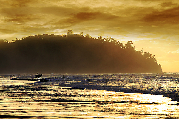 포토 JPG 해외이미지 동물 바다 밭 사람없음 가로 여름 반려동물 여행객 일몰 산책 카우보이 저녁 해외202004 해외포토 계절 농업 휴식 사람 노을 야간 파일형식 이미지허브