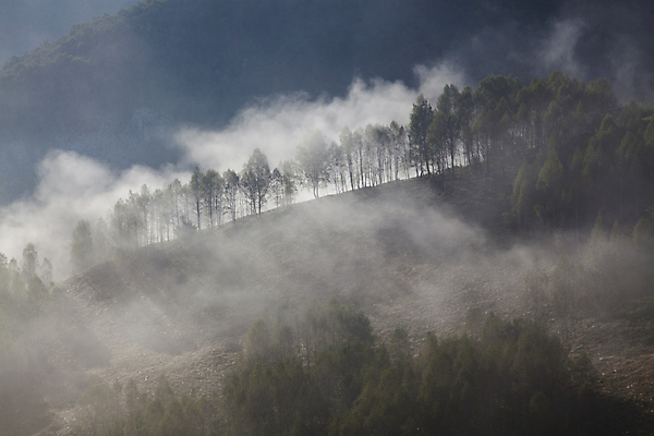 포토 JPG 해외이미지 나무 구름 계절 공원 여행 백그라운드 자연 하늘 아침 휴가 산 풍경 사람없음 야외 초록색 여름 파란색 빛 컬러풀 햇빛 태양 일출 환경 계곡 어둠 황혼 일몰 봄 새벽 안개 가을 흰색 시골 숲 언덕 장면 내추럴 뿌연 전국 절정 환상 해외202004 해외포토 주간 자연요소 식물 공공시설 컬러 컨셉 날씨 노을 생태계 파일형식 이미지허브