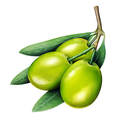 포토 JPG 해외이미지 아시아 음식 잎 농업 과일 일러스트 재료 자연 디저트 건강 사람없음 초록색 신선 그룹 달콤 오브젝트 내추럴 고립 숙성 토닉 해외202004 해외일러스트 식물 나라 산업 컬러 맛 생태계 파일형식 이미지허브