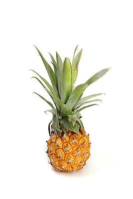 포토 JPG 해외이미지 음식 다이어트 과일 자연 디저트 건강 사람없음 초록색 노란색 흰색 신선 달콤 맛 먹기 파인애플 고립 해외202004 해외포토 컬러 컨셉 모션 열대과일 생태계 파일형식 이미지허브