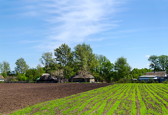포토 JPG 해외이미지 식물 구름 농업 자연 하늘 주택 풍경 사람없음 건물 경제 마을 흙 시골 땅 만취 허브 묘목 해외202004 해외포토 자연요소 나무 건축물 산업 생태계 술취함 파일형식 이미지허브