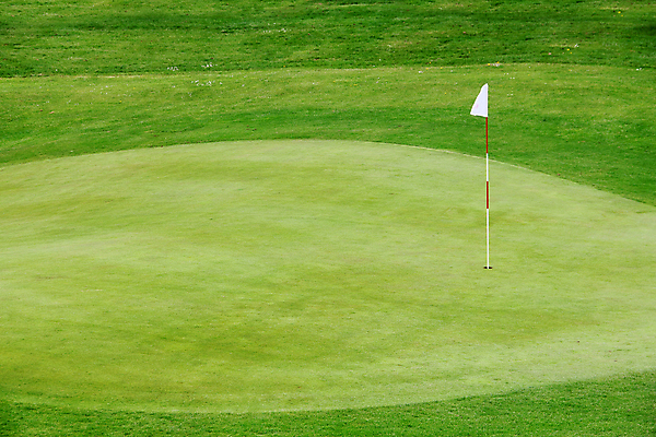 포토 JPG 해외이미지 스포츠 밭 골프 자연 놀이 풍경 잔디 사람없음 야외 컵 초록색 여름 침묵 경쟁 게임 흰색 깃발 구멍 고급 목표 강의 언덕 클럽 올가미 땅바닥 페어웨이 카피스페이스 해외202004 해외포토 식물 식기 계절 컬러 컨셉 농업 바닥 구기 소리 공백 생태계 파일형식 이미지허브