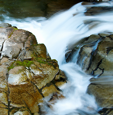 포토 JPG 해외이미지 식물 계절 자연 휴식 풍경 사람없음 야외 초록색 물 여름 파란색 강 환경 봄 폭포 흐름 가을 바위 흰색 신선 개울 황무지 숲 순수 속도 내추럴 삼림지대 생태학 해외202004 해외포토 자연요소 교육 컬러 컨셉 돌_바위 생태계 파일형식 이미지허브