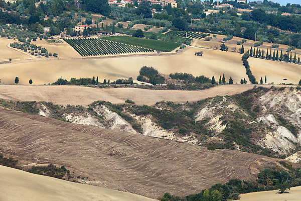 포토 JPG 해외이미지 나무 유럽 밭 농업 자연 풍경 사람없음 여름 농가 평화 환경 고요 이탈리아 달력 성장 가을 시골 만취 언덕 그림 올리브 포도밭 땅바닥 시에나 토스카나 수평선 해외202004 해외포토 식물 계절 열매 나라 산업 컨셉 바닥 농장 생태계 술취함 파일형식 이미지허브