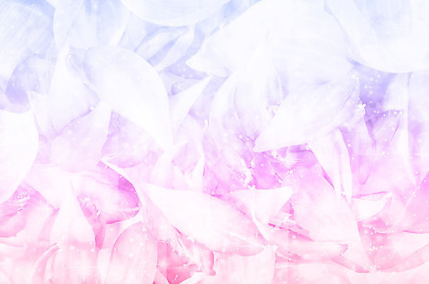 포토 JPG 해외이미지 식물 디자인 계절 꽃잎 꽃 분홍색 결혼 백그라운드 잎 꽃무늬 패턴 자연 벽지 추상 휴가 발렌타인데이 선물 사람없음 여름 파란색 빛 컬러풀 보라색 봄 축하 신선 신용카드 투명 닫기 제비꽃 묘사 데이지 보케 부드러움 공상 모음 라일락 내추럴 블러 스타일 해외202004 해외포토 컬러 컨셉 무늬 모션 데이이벤트 이벤트 금융 감각 생태계 파일형식 이미지허브