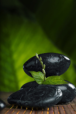 포토 JPG 해외이미지 선 잎 불교 자연 추상 건강 사람없음 치료 쌓기 평화 탑 화목 침묵 기쁨 에너지 조약돌 명상 냄새 아로마 아로마테라피 내추럴 고체 줄서기 화강암 해외202004 해외포토 식물 건축물 감정 종교 컨셉 무늬 의학 모션 소리 암석 돌_바위 생태계 테라피 파일형식 이미지허브