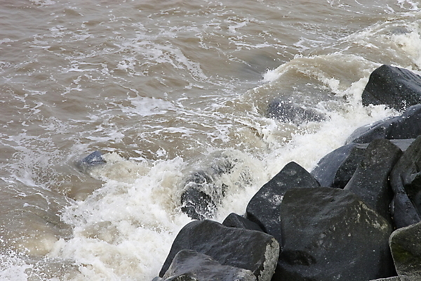 포토 JPG 해외이미지 파도 바다 백그라운드 자연 조류 풍경 사람없음 야외 물 평화 바위 흰색 서핑 내추럴 해일 스플래쉬 해외202004 해외포토 자연요소 동물 컬러 컨셉 돌_바위 수상스포츠 자연재해 생태계 파일형식 이미지허브