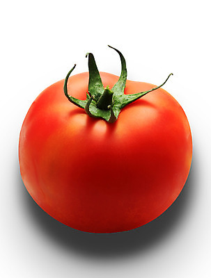 포토 JPG 해외이미지 스튜디오촬영 클리핑패스 음식 줄기 컨셉 잎 농업 토마토 채소 자연 건강 사람없음 빨간색 초록색 여름 빛 한개 반사 수확 껍질 가을 흰색 신선 시장 자르기 유기농 날것 건강식 고립 비타민C 숙성 해외202004 해외포토 식물 1 웰빙 계절 산업 컬러 모션 실내 생태계 비타민 파일형식 이미지허브