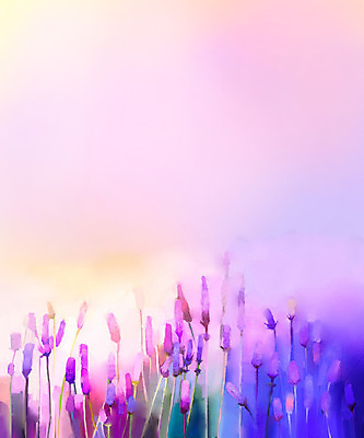 JPG 해외이미지 꽃 일러스트 사람없음 보라색 그림 손그림 라벤더 유화 카피스페이스 해외202004 해외일러스트 식물 컬러 미술 공백 허브 파일형식 이미지허브