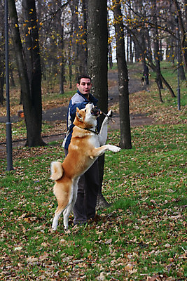 포토 JPG 해외이미지 주간 전신 한마리 남자 반려견 한명 서기 성인 야외 옆모습 점프 산책 강아지 숲속 놀기 성인남자한명만 해외202004 아키타견 해외포토 자연요소 1 뷰포인트 모션 휴식 사람 반려동물 개 숲 남자한명만 성인남자만 파일형식 이미지허브