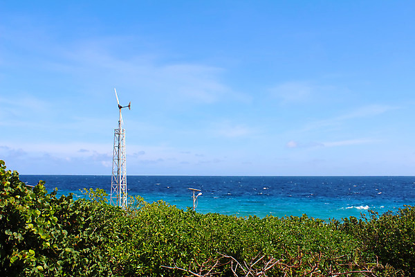 포토 JPG 해외이미지 바다 섬 여행 태국 자연 하늘 휴가 풍경 사람없음 물 여름 파란색 태양 만 산호 다이빙 암초 이국적 파라다이스 해외202004 해외포토 자연요소 계절 아시아 컬러 수영 자포동물 생태계 수중스포츠 파일형식 이미지허브