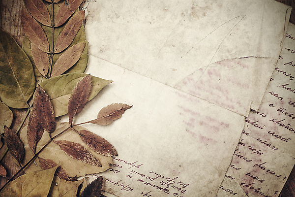 포토 JPG 해외이미지 클립아트 디자인 종이 백그라운드 잎 패턴 일러스트 텍스트 자연 벽지 추상 잉크 프레임 사람없음 그래픽 장식 파란색 노란색 페인트 줄무늬 공백 수확 가을 직물 얼룩 떨어짐 질감 복고 페이지 찢어짐 그런지 스크랩북 옛날 스타일 해외202004 해외포토 식물 계절 컬러 컨셉 무늬 농업 모션 생태계 파일형식 이미지허브