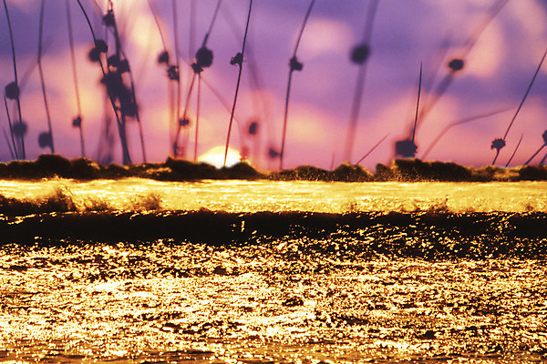포토 JPG 해외이미지 파도 바다 자연 휴가 사람없음 물 태양 반사 침묵 일몰 황금 아일랜드 해외202004 해외포토 자연요소 유럽 노을 소리 생태계 파일형식 이미지허브