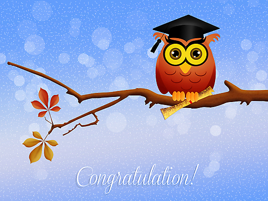 JPG 해외이미지 교육 일러스트 학사모 졸업 조류 사람없음 나뭇가지 축하 졸업장 부엉이 해외202004 해외일러스트 나무 동물 모자_잡화 컨셉 파일형식 이미지허브