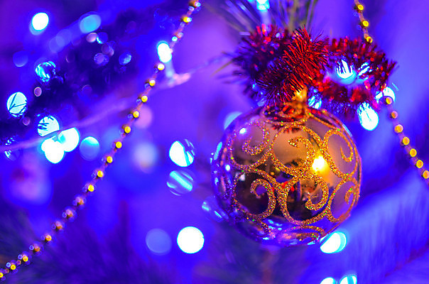 포토 JPG 해외이미지 나무 전통 디자인 계절 별 백그라운드 크리스마스 겨울 텍스트 공 유리 휴가 새로움 기념 사람없음 장식 빨간색 초록색 빛 크리스마스트리 노란색 축제 화환 침묵 장식볼 흰색 나뭇가지 축하 소나무 신용카드 황금 야간 12월 연도 전나무 엘리먼트 여의주 해외202004 해외포토 자연요소 식물 기념일 꽃 컬러 컨셉 재질 금융 소리 날짜 파일형식 이미지허브