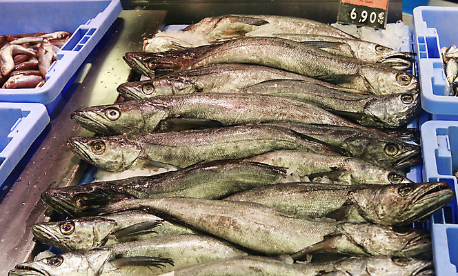 포토 JPG 해외이미지 동물 산업 음식 백그라운드 자연 낚시 어류 사람없음 옆모습 빨간색 판매 쌓기 상점 얼음 신선 잡기 그룹 시장 은색 참치 해산물 지느러미 바르셀로나 흙더미 슈퍼마켓 소금물 공급 해외202004 해외포토 자연요소 뷰포인트 컬러 모션 레저 수중동물 흙 스페인 생태계 파일형식 더미 이미지허브