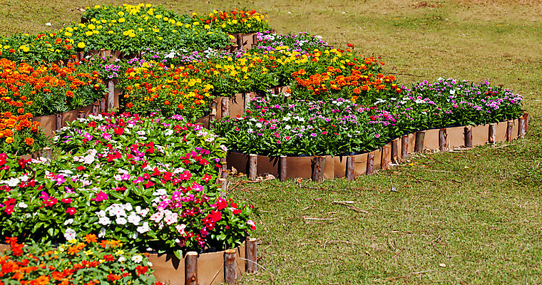 포토 JPG 해외이미지 식물 계절 공원 꽃 꽃다발 백그라운드 잎 꽃무늬 밭 자연 부활절 발렌타인데이 3 사랑 사람없음 야외 빨간색 초록색 여름 컬러풀 햇빛 태양 노란색 정원 보라색 침묵 봄 튤립 벚꽃 광선 축하 신선 닫기 5월 꽃집 엽서 내추럴 강렬 블러 해외202004 해외포토 자연요소 공공시설 기념일 감정 컬러 컨셉 무늬 농업 모션 데이이벤트 상점 소리 날짜 편지 생태계 파일형식 이미지허브