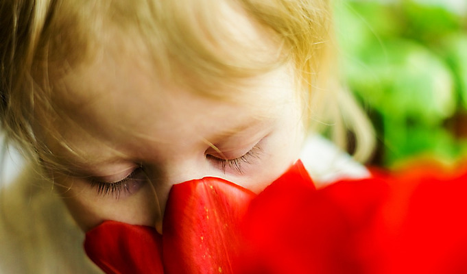 포토 JPG 해외이미지 식물 1 라이프스타일 여자 꽃 행복 감정 아들 얼굴 어린이 꽃다발 백그라운드 컨셉 자연 휴가 선물 한명 사람 소년 빨간색 금발 봄 기쁨 튤립 아기 진짜 유일 해외202004 해외포토 헤어스타일 계절 남자 컬러 가족 생활 신체부위 생태계 파일형식 이미지허브